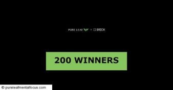 Pure Leaf Mental Focus Sweepstakes